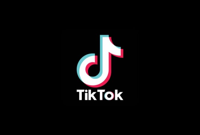 1. TikTok