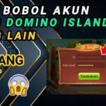 2 Cara Hack Akun Higgs Domino Lewat ID Terbukti Terupdate 2022