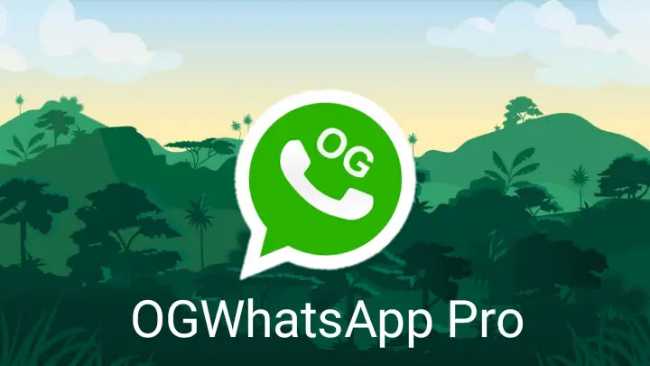 Apakah APK OG WhatsApp Aman Dipasang
