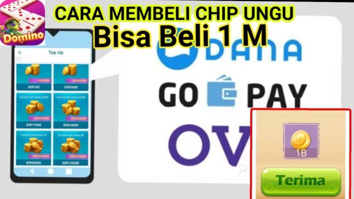 Cara Beli Chips Ungu Higgs Domino Murah, Cepat, dan Aman