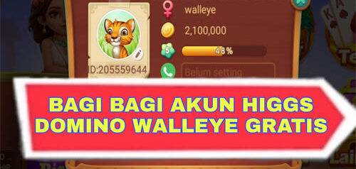 Daftar Akun Higgs Domino Gratis Yang Kami Miliki