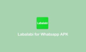 Fitur dan Manfaat Labalabi for WhatsApp