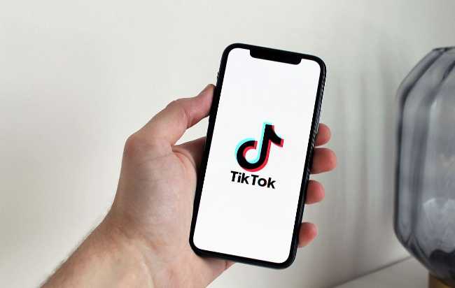 Kelebihan Aplikasi Snaptik untuk Mendownload Video TikTok