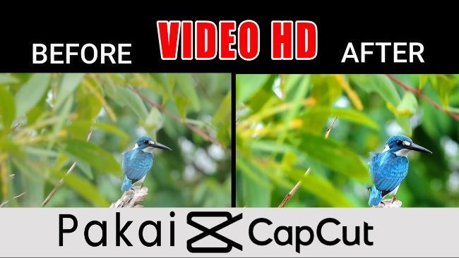 Kualitas Video HD