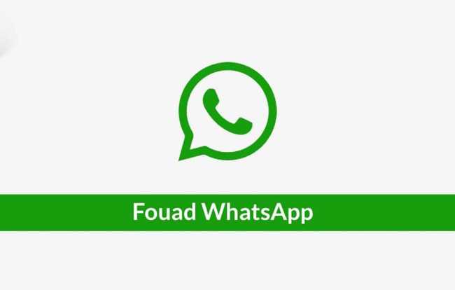 Link Fouad WhatsApp Download Versi Terbaru