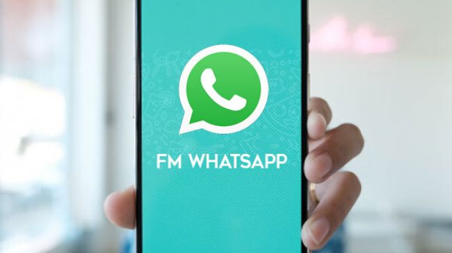 Masalah yang Sering Ditemui Pada Aplikasi FM Whatsapp