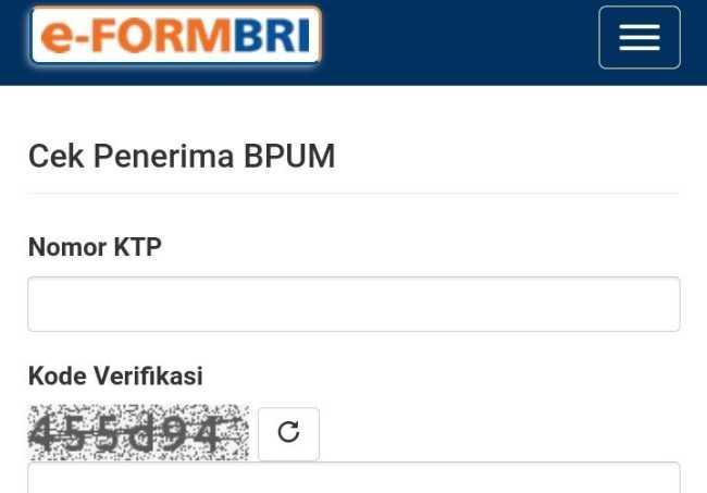 Menggunakan E-Form BRI