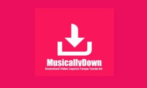 MusicallyDown Download Video TikTok Tanpa Watermark