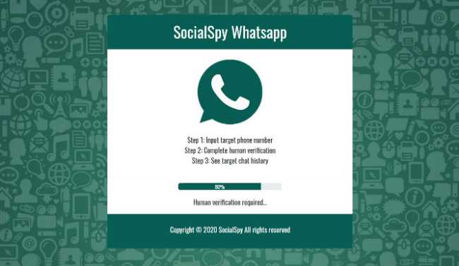 Social Spy WhatsApp