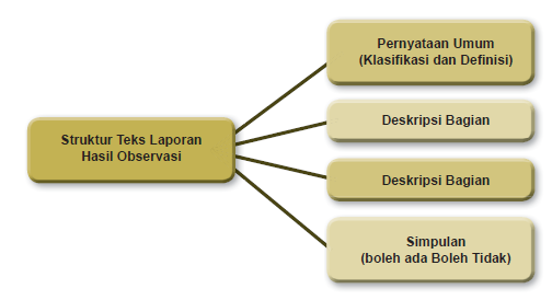 Struktur Teks Laporan Hasil Observasi