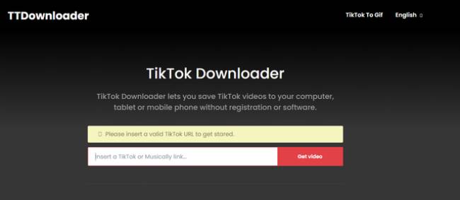 TTDownloader