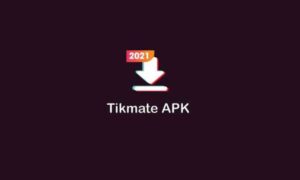 TikMate Download Video TikTok Tanpa Watermark via App & Web
