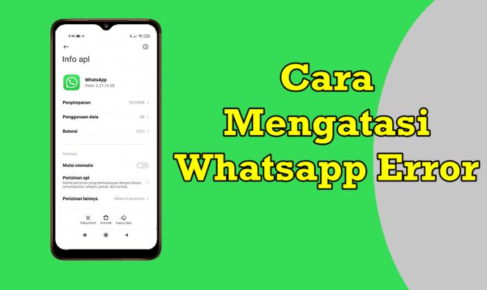 Cara Atasi WhatsApp Error Yang Bisa Kamu Lakukan