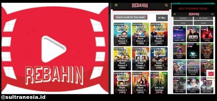 Fitur & Keunggulan Rebahin Apk Terbaru