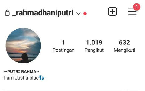 Bio IG Aesthetic Bahasa Inggris Pendek