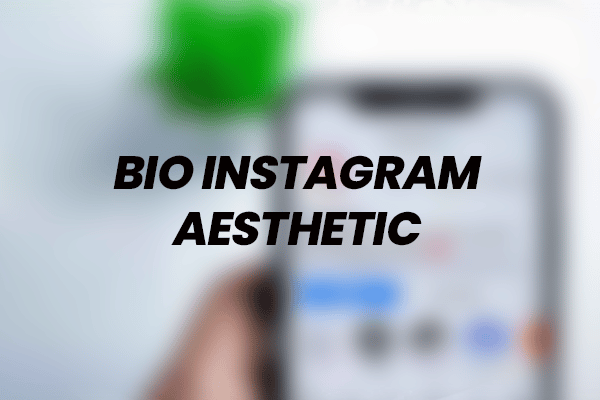 Bio IG Aesthetic Berbahasa Inggris Serta Artinya