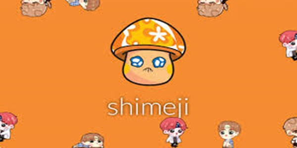 Cara Menginstal Shimeji Mod Apk di Perangkat Android