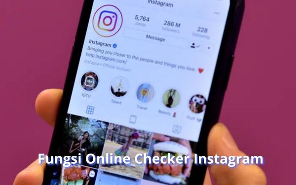 Fungsi Online Checker Instagram