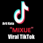 Apa Itu Mixue