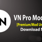 VN Mod Apk