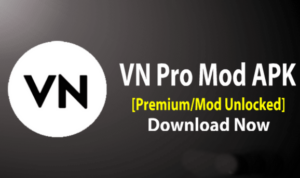 VN Mod Apk