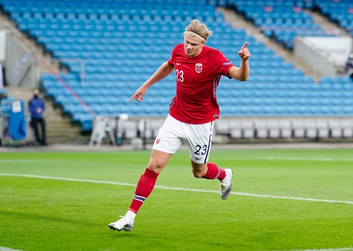 Netherlands haaland