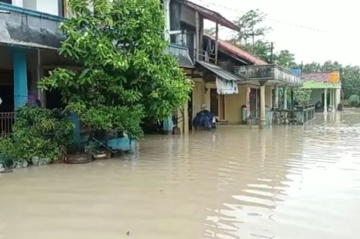 Viral Banjir Bandang di Sukabumi, Ini Sebaran Lokasi dan