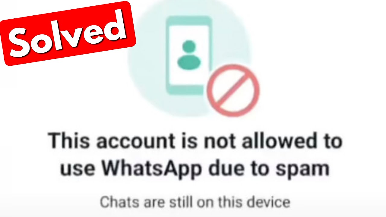 Whatsapp kena spam cek penyebab dan cara memulihkannya di sini