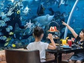 Makan di Restoran Bawah Laut Sensasi yang Tak Terlupakan