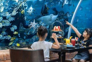 Makan di Restoran Bawah Laut Sensasi yang Tak Terlupakan