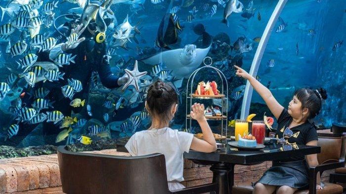 Makan di Restoran Bawah Laut Sensasi yang Tak Terlupakan